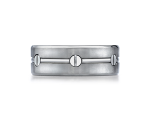Titanium 8mm Satin and High Polish, Screw Design Wedding Ring
